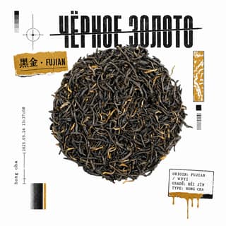 Архивный коллаж · 黑金