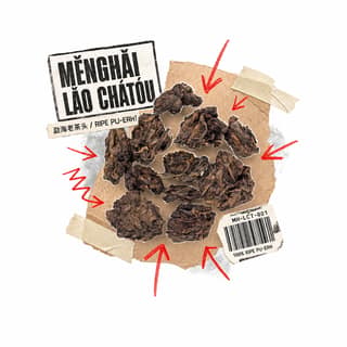 Архивный грааль · 老茶头