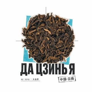 Архивный коллаж · 大金芽熟普洱