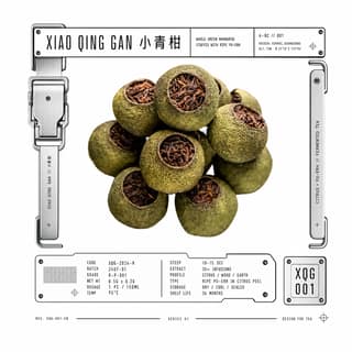 Стальная застёжка · 陈皮丝小青柑