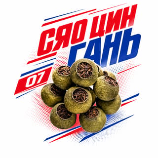 Энергия старта · 陈皮丝小青柑
