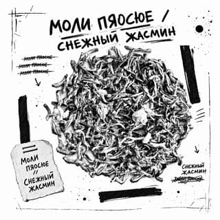 Сырой асфальт · 茉莉飘雪
